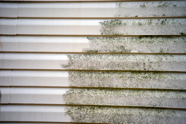 How To Choose The Right Materials for Your Siding Installation in 'Laurel, MS